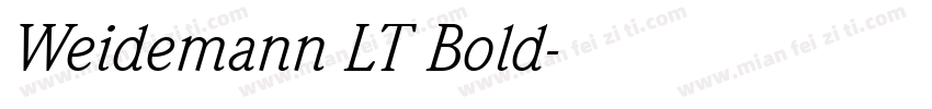 Weidemann LT Bold字体转换
